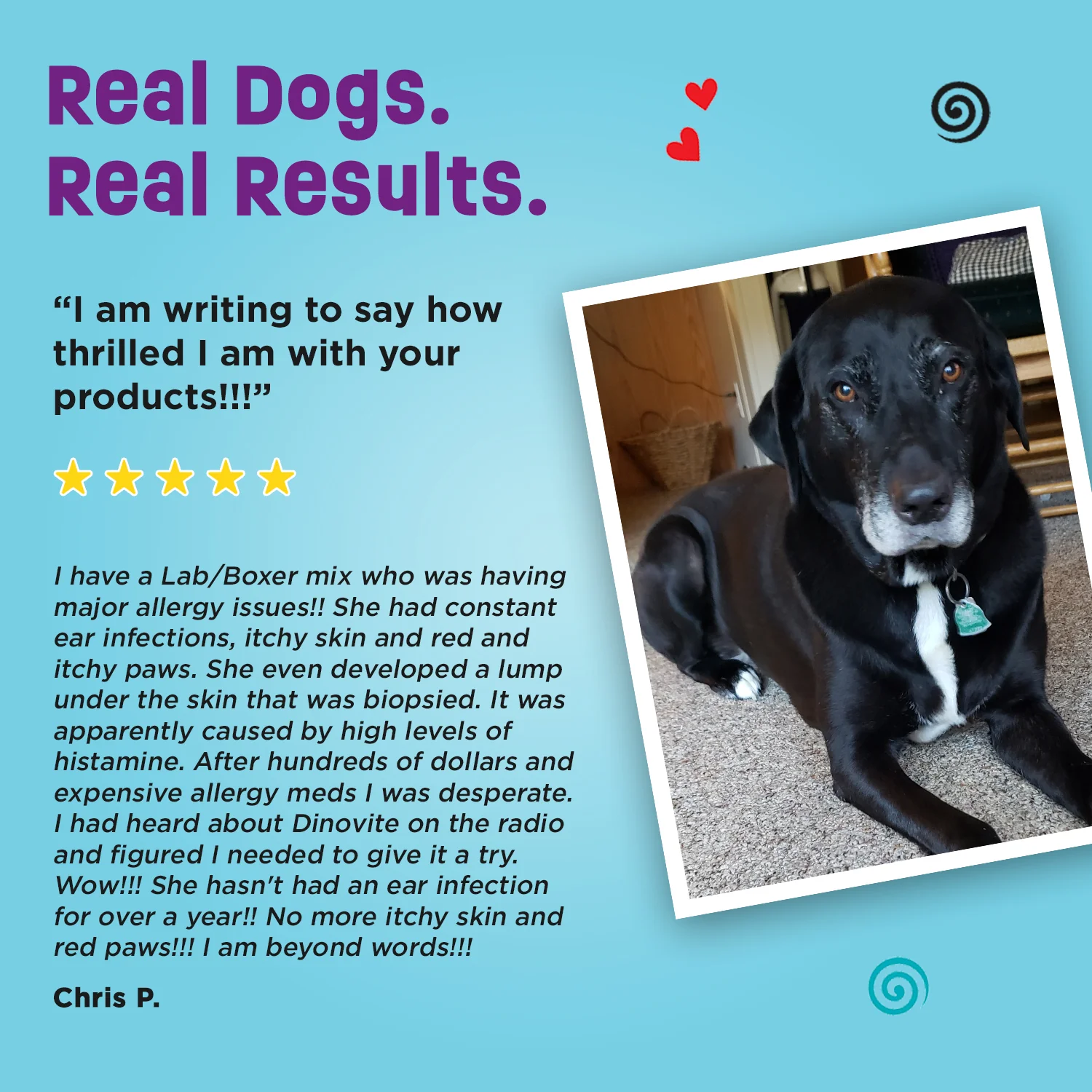 Dinovite for Dogs - Image 8