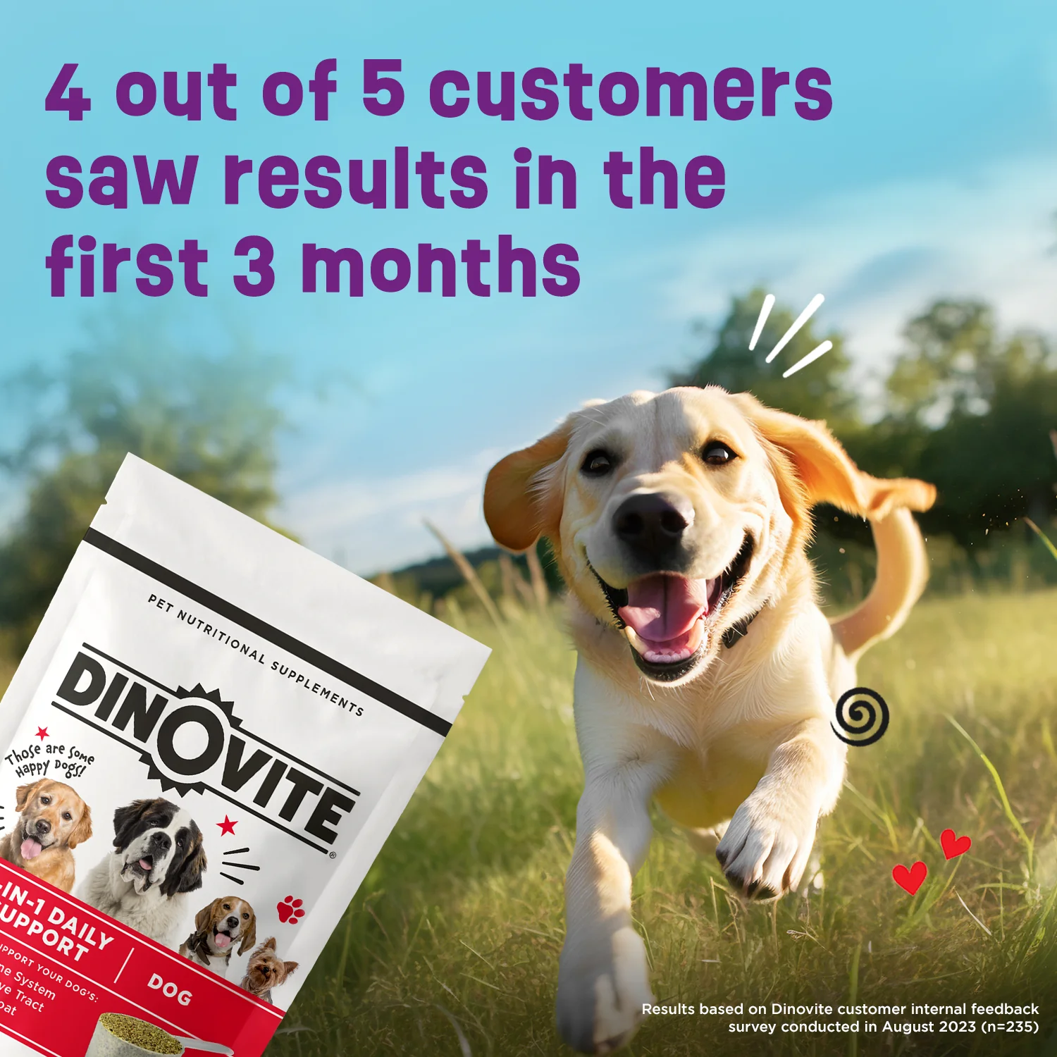 Dinovite for Dogs - Image 9