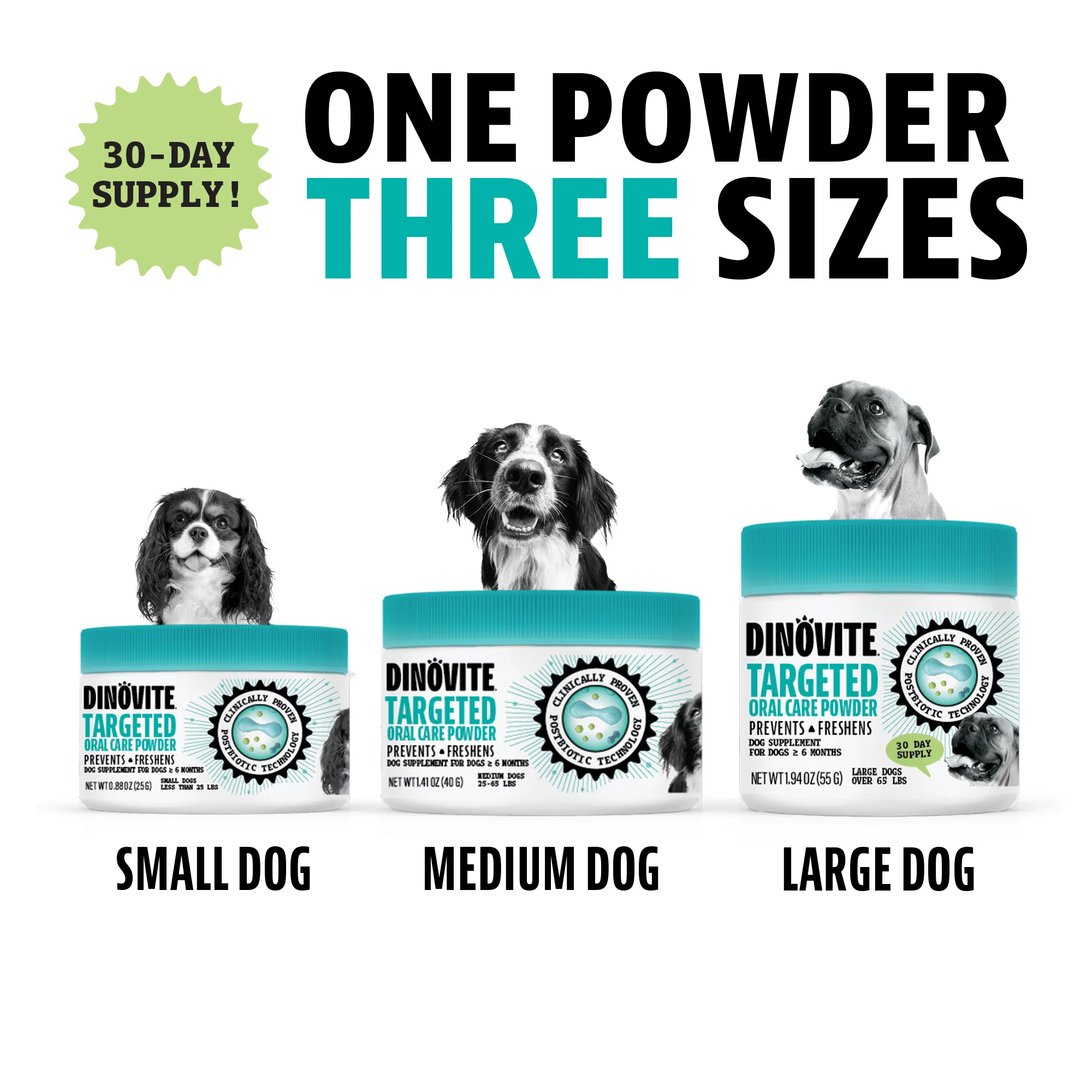 Dental Powder for Dogs - Image 2