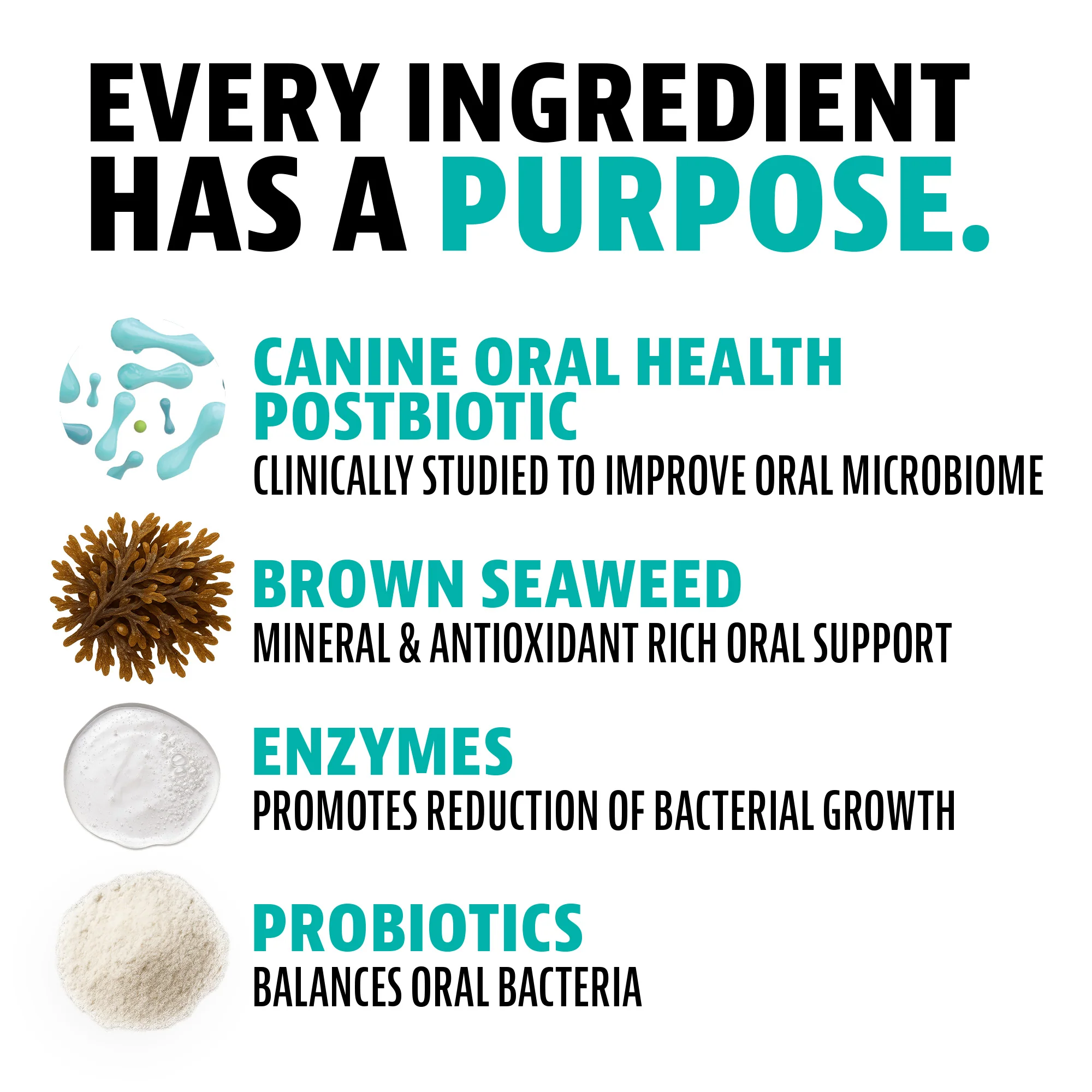 Dental Powder for Dogs - Image 4